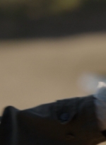 ftwd306_2309.jpg