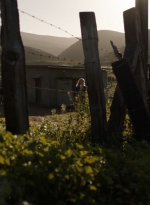 ftwd306_2715.jpg