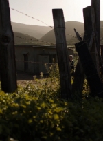 ftwd306_2716.jpg