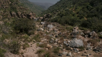 ftwd307_0001.jpg