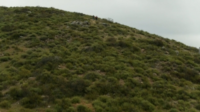 ftwd307_0137.jpg