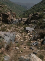 ftwd307_0005.jpg