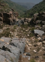 ftwd307_0006.jpg