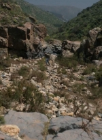 ftwd307_0007.jpg