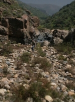 ftwd307_0008.jpg