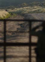 ftwd307_2253.jpg