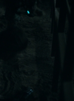 ftwd307_2654.jpg