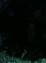 ftwd307_2837.jpg