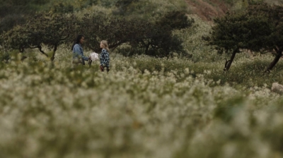ftwd308_2425.jpg