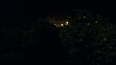 ftwd308_2848.jpg