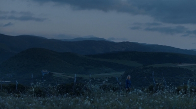 ftwd308_3371.jpg
