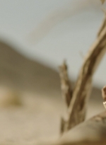 ftwd308_0298.jpg