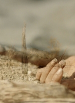 ftwd308_0364.jpg