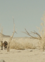 ftwd308_0426.jpg