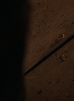 ftwd308_1397.jpg