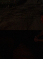 ftwd308_3278.jpg