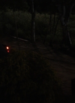 ftwd308_3284.jpg