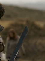 ftwd309_0078.jpg