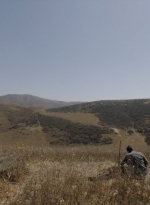 ftwd309_1210.jpg