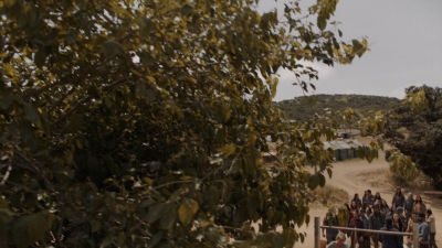 ftwd310_1868.jpg