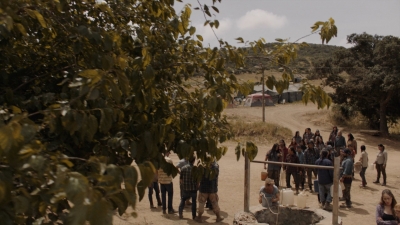 ftwd310_1870.jpg