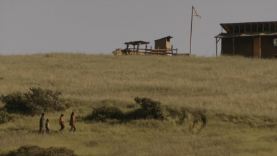 ftwd310_2496.jpg