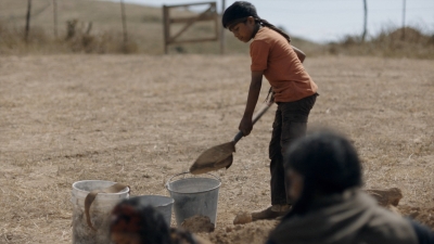 ftwd310_3001.jpg
