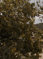 ftwd310_1868.jpg