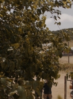 ftwd310_1869.jpg