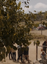 ftwd310_1870.jpg