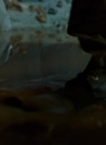 ftwd311_0385.jpg