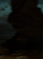ftwd311_0386.jpg