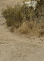 ftwd311_2651.jpg