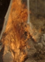 ftwd311_2679.jpg