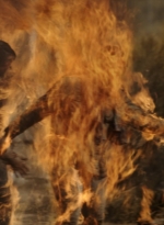 ftwd311_2680.jpg
