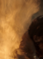 ftwd311_2684.jpg