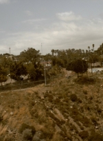 ftwd311_2774.jpg
