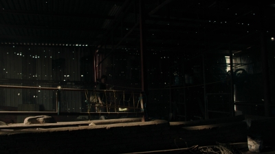 ftwd312_0151.jpg