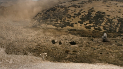ftwd312_1617.jpg