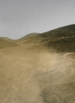 ftwd312_2255.jpg