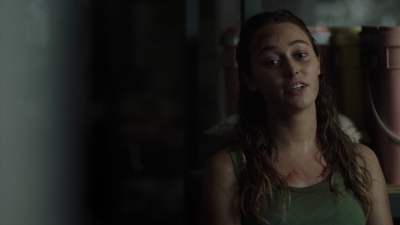 ftwd313_1800.jpg