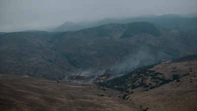 ftwd313_3037.jpg