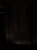 ftwd313_2157.jpg