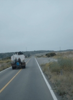 ftwd313_3097.jpg