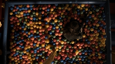 ftwd314_0965.jpg