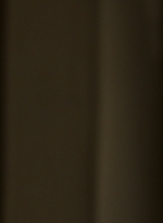 ftwd314_0875.jpg