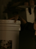 ftwd314_0909.jpg