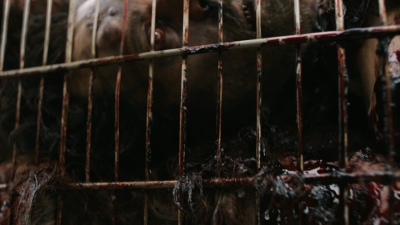 ftwd315_0012.jpg