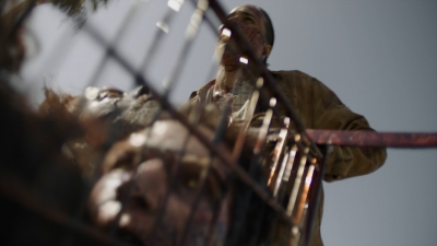 Click to view full size image
==============
ftwd315_0046.jpg ftwd315_0046.jpg