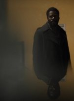 ftwd315_1292.jpg
